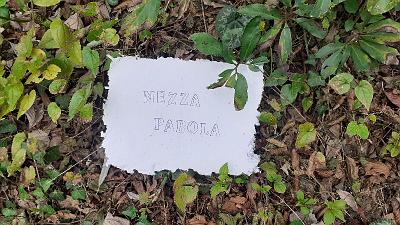 PAROLA PER PAROLA (14)